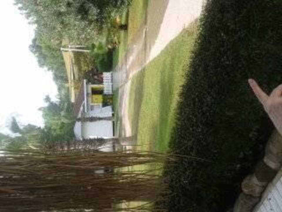  alles sauber Balmy Foresta