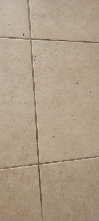 Sonstiges Hotel Parentium Plava Laguna