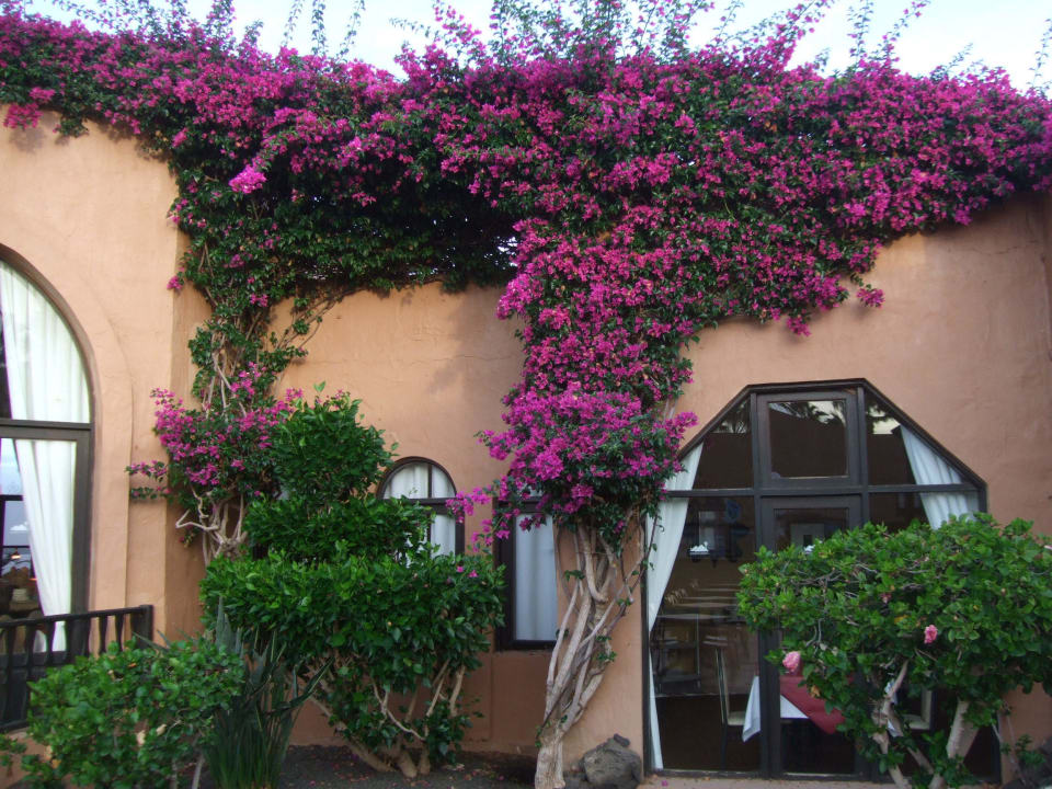 Das Restaurant  Hotel Oasis Dunas