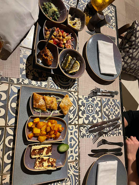 Gastro JAZ Elite Asteria