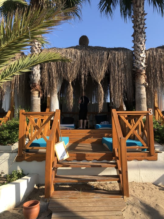Sport & Freizeit Paloma Oceana