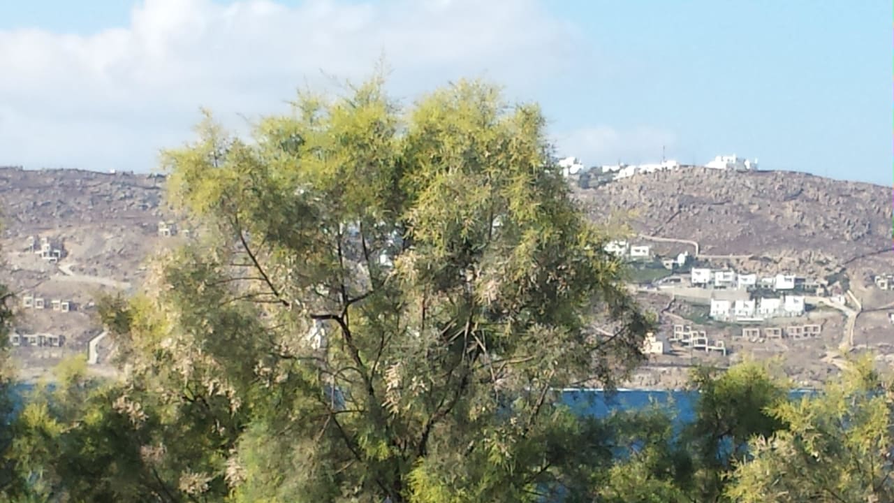 Hotel Mykonos Theoxenia, a member of Design Hotels