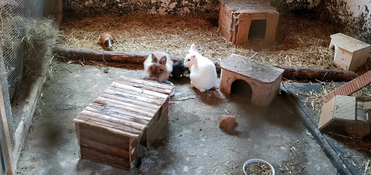 Sonstiges Marxhof (Hürtgenwald) -