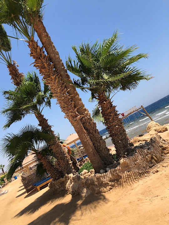 Strand Pickalbatros Citadel Resort