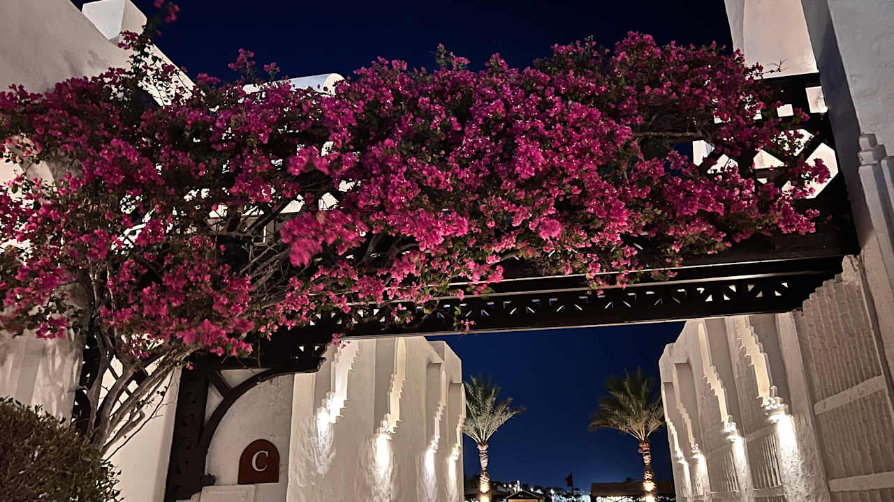 Ausblick Arabella Azur Resort