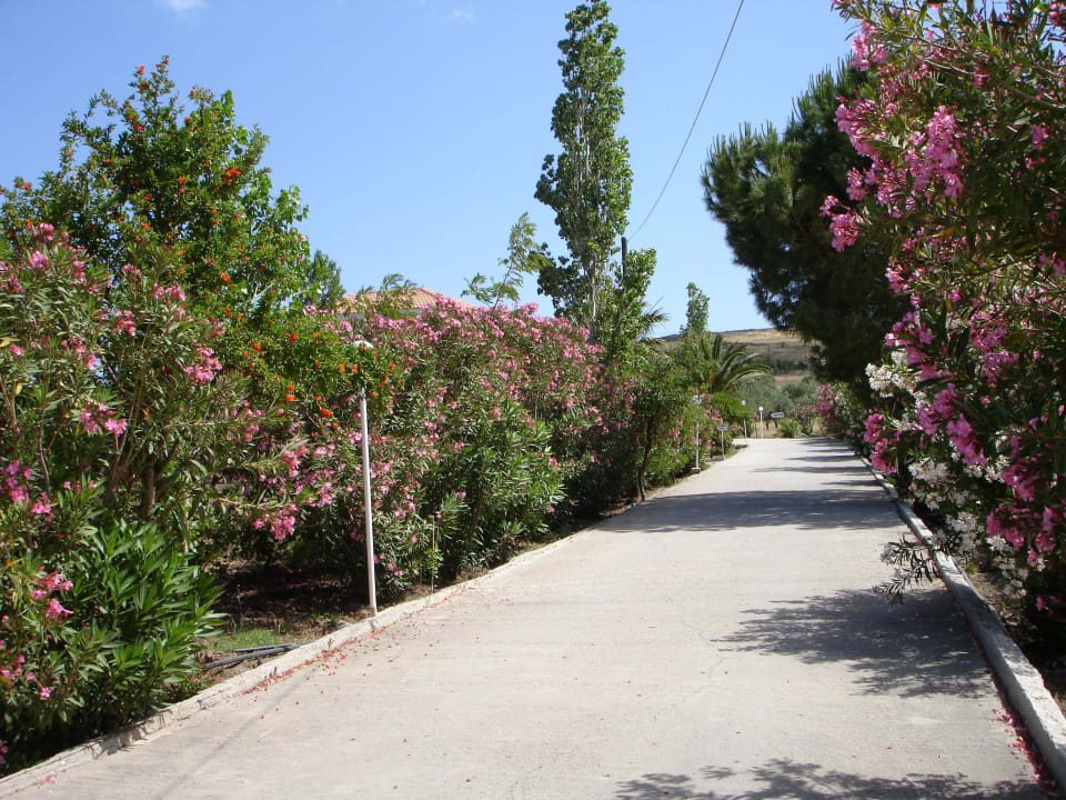 Zufahrt Hotel Eriphili