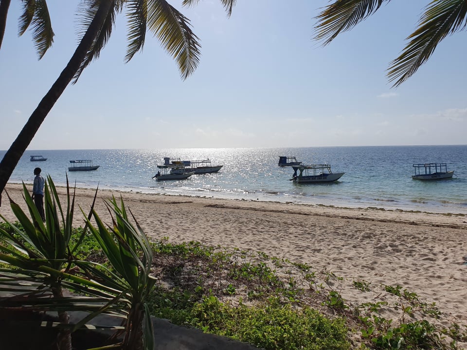 Ausblick Hotel Traveller's Club