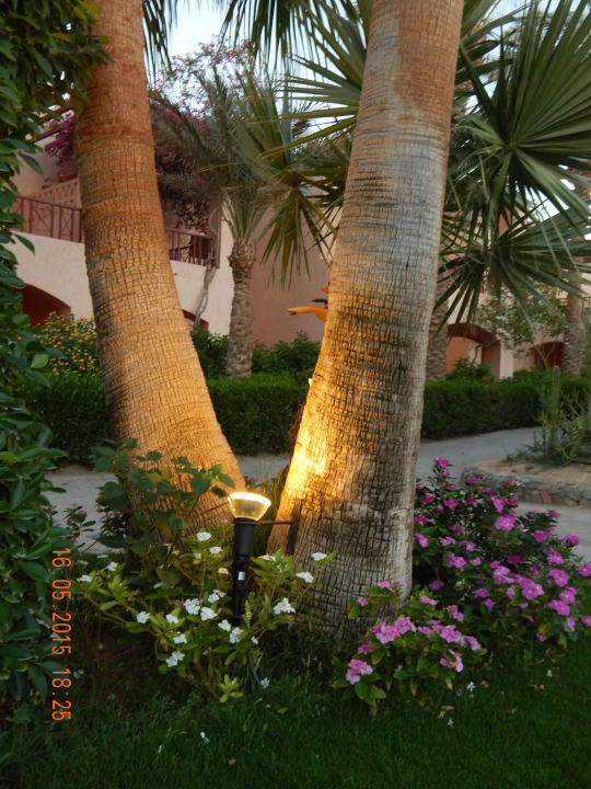 Makadi Oasis Jaz Makadi Oasis Resort