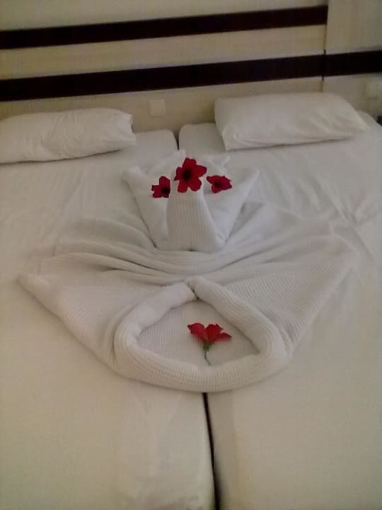 Ein Dankeschön an die Reinigungskräfte Hotel Orfeus Park