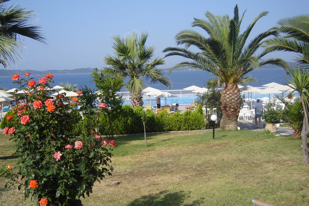 Hotel Akrathos Beach Akrathos Beach Hotel