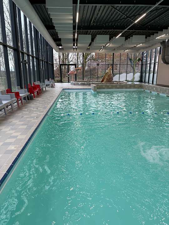 Pool Dormio Resort Maastricht