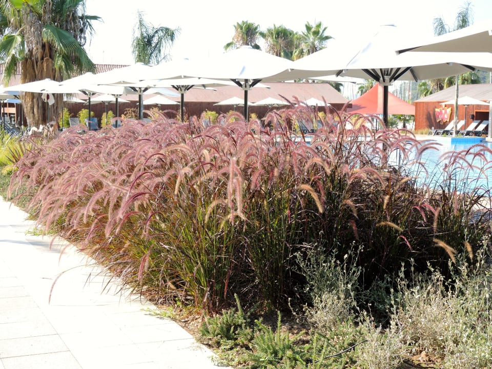 Hotel Pool Rixos Premium Göcek