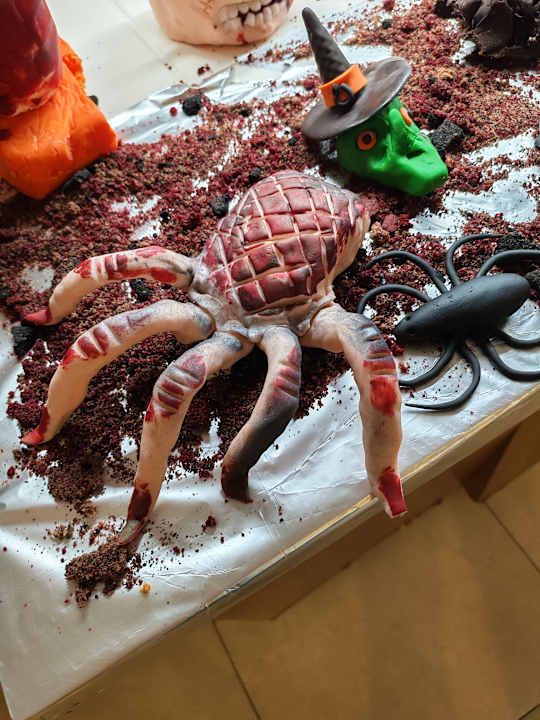 Sport & Freizeit Seashell Resort