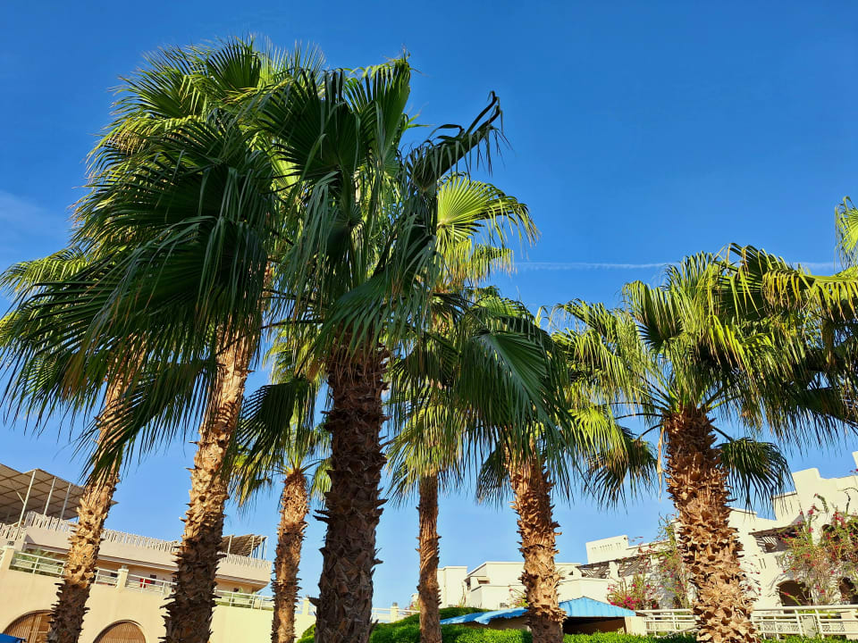Außenansicht Pickalbatros Royal Moderna Resort-Sharm El Sheikh