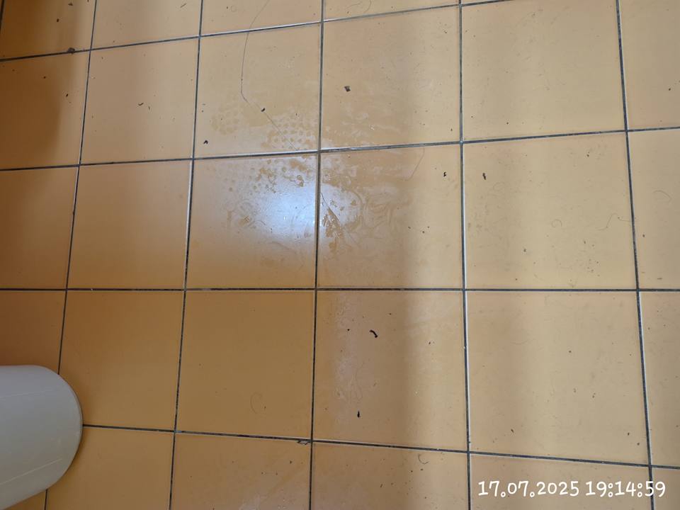 Zimmer SBH Hotel Taro Beach