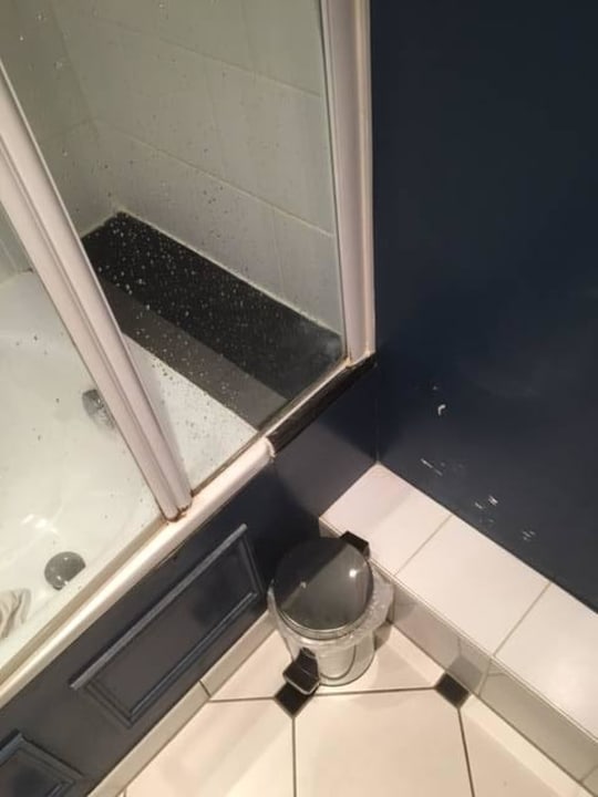Mängel in Badezimmer NH Brugge