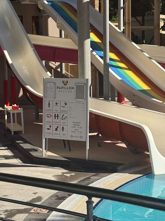 Pool Papillon Ayscha