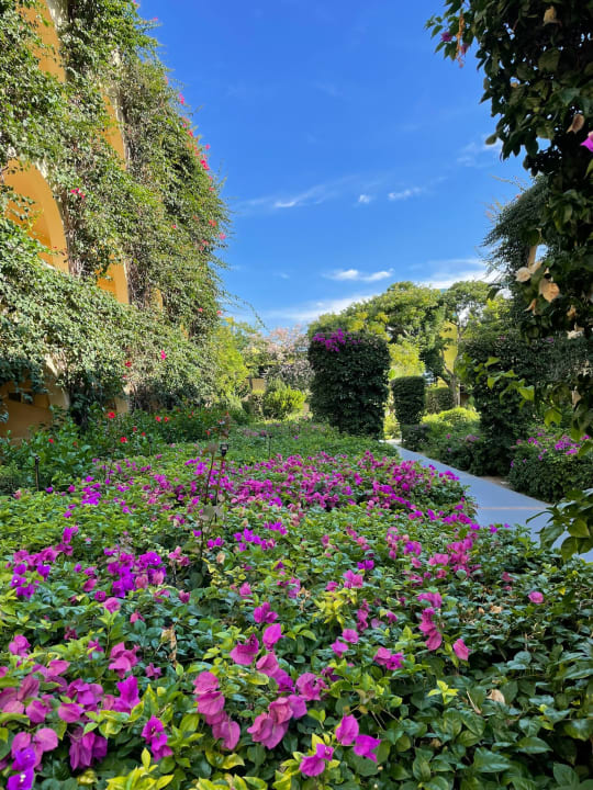 Gartenanlage TUI MAGIC LIFE Calabria