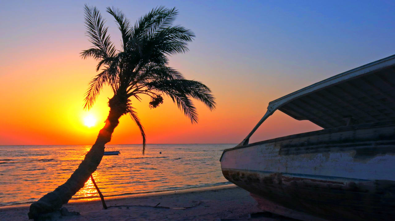 Sonstiges Shams Alam Beach Resort