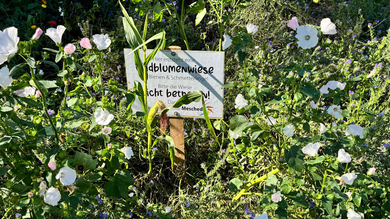 Sonstiges Welcome Hotel Meschede