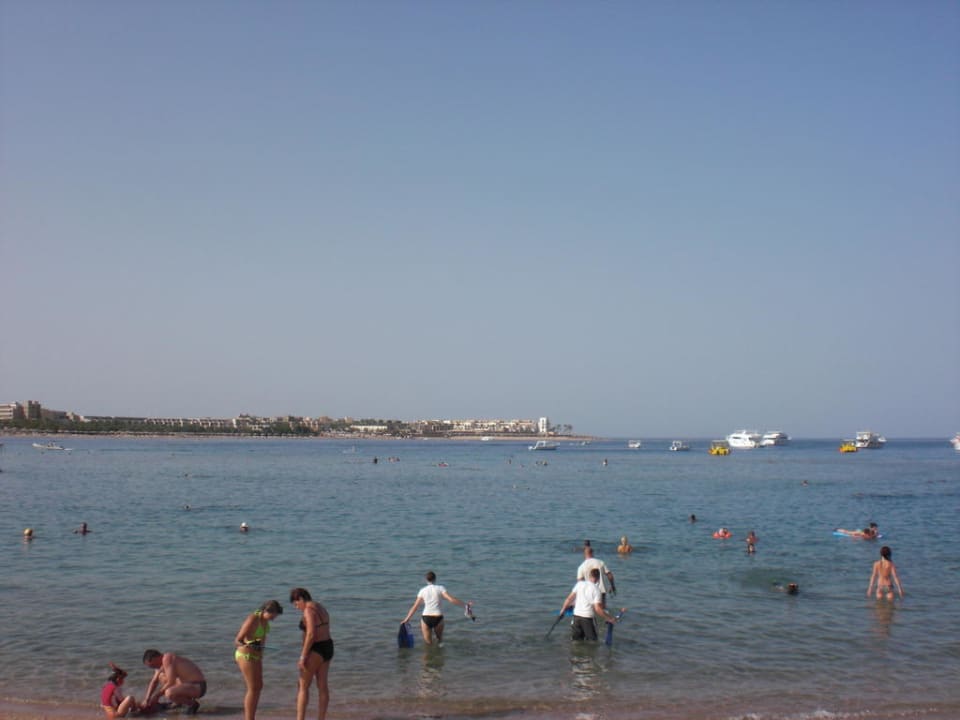 Strand Jaz Makadi Oasis Resort