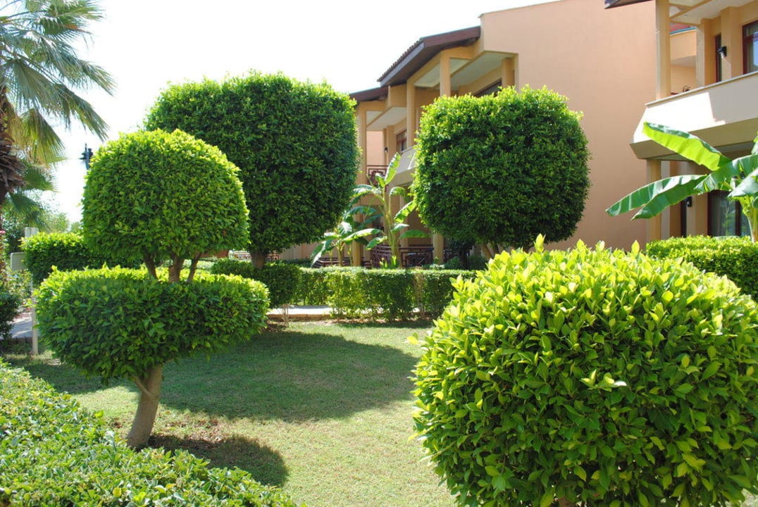 Сад Bella Resort & Spa