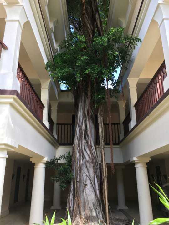 Gartenanlage Hilton Mauritius Resort & Spa