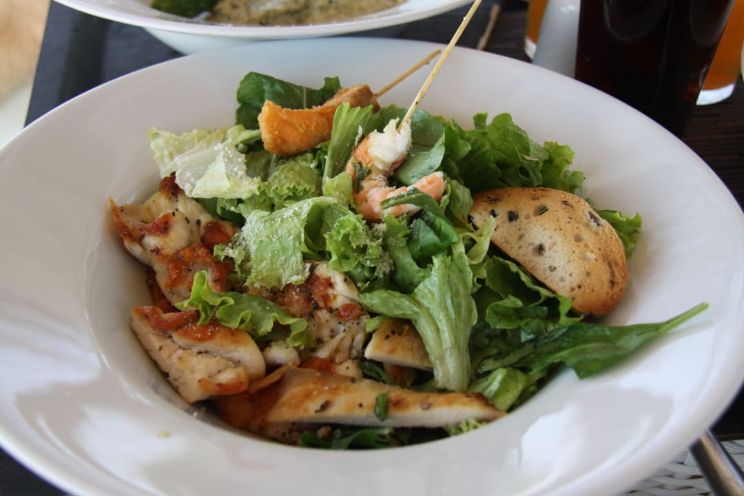 Lecker PALOMA Perissia