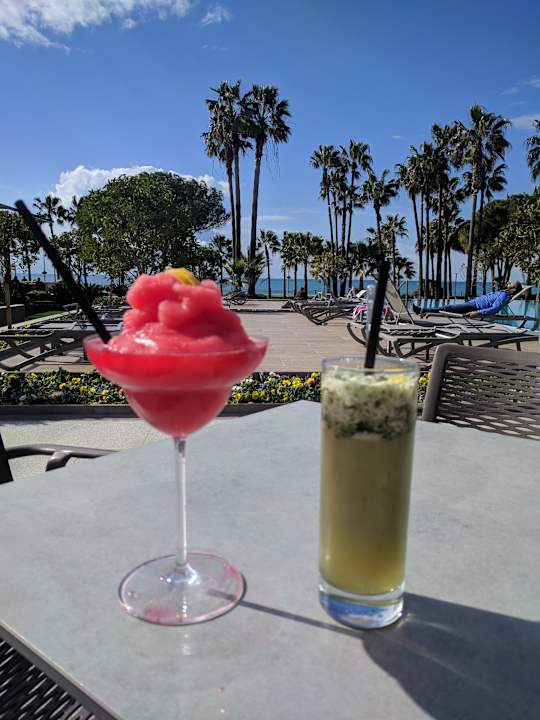 Gastro Acanthus Cennet Barut Collection