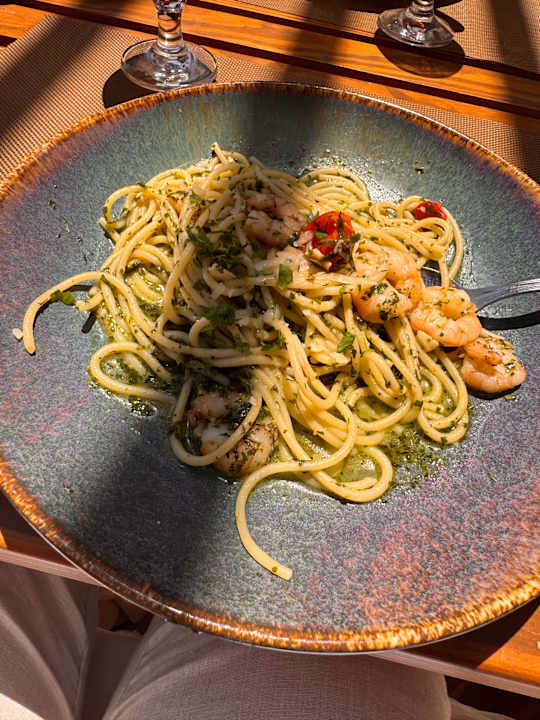 Gastro JAZ Elite Asteria