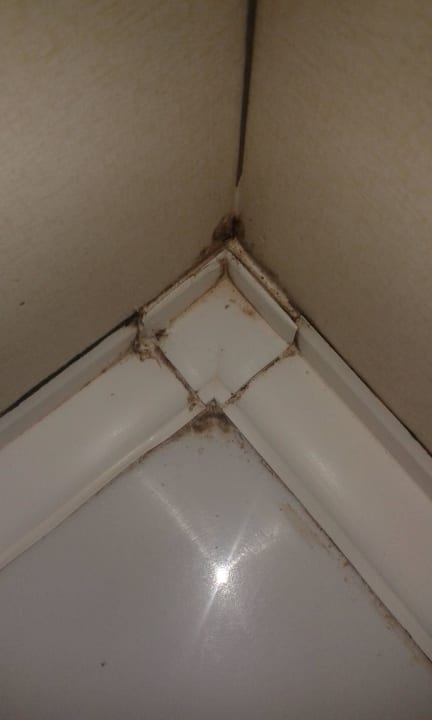 Bad Salamis Bay Conti Resort Hotel & Casino