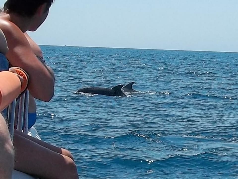 Schön Hotel El Mouradi Djerba Menzel