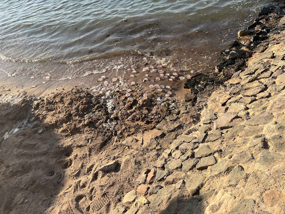 Strand Royal Star Beach Resort