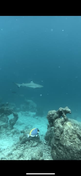 Strand Adaaran Club Rannalhi - All Inclusive