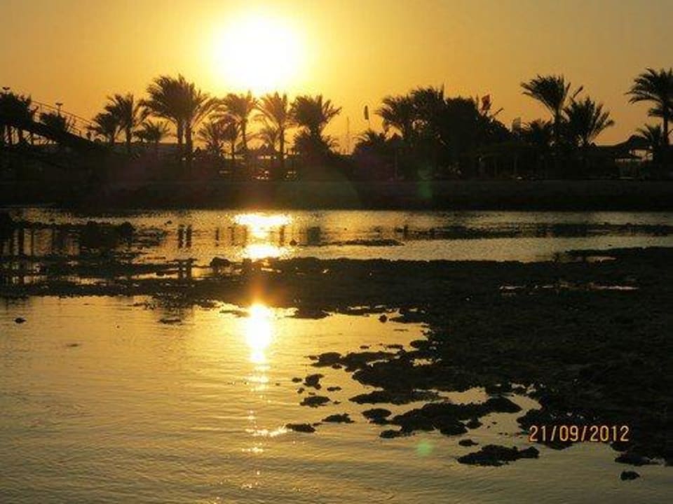 Abendstimmung - Achtung Fotoanfänger Desert Rose