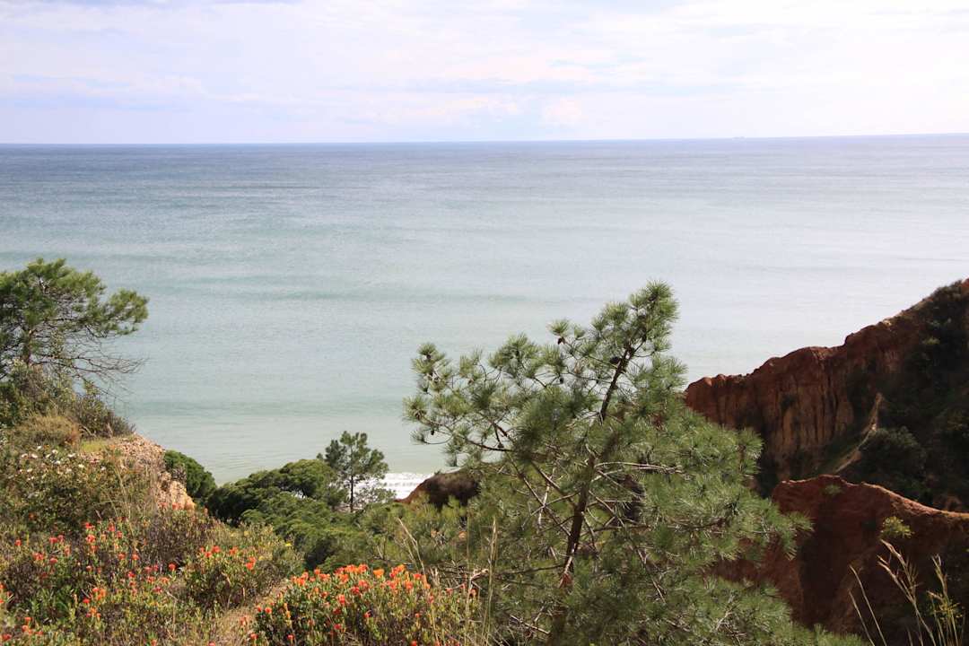 Schöne Aussicht PortoBay Falésia