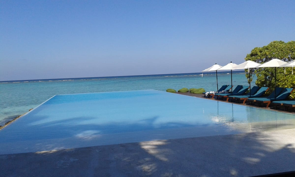 Pool Summer Island Maldives