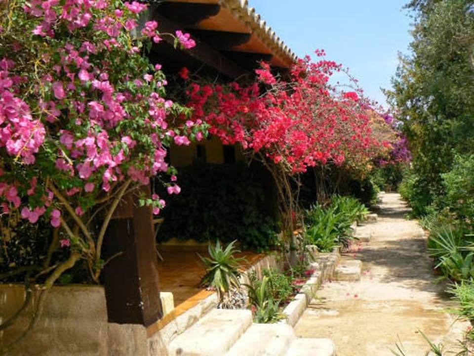 Außenbereich Terrasse vor dem Zimmerder Zimmer Finca Hotel Predio Son Serra