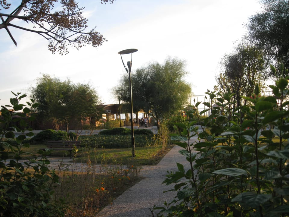 Zur Strandbar Sentido Trendy Verbena Beach