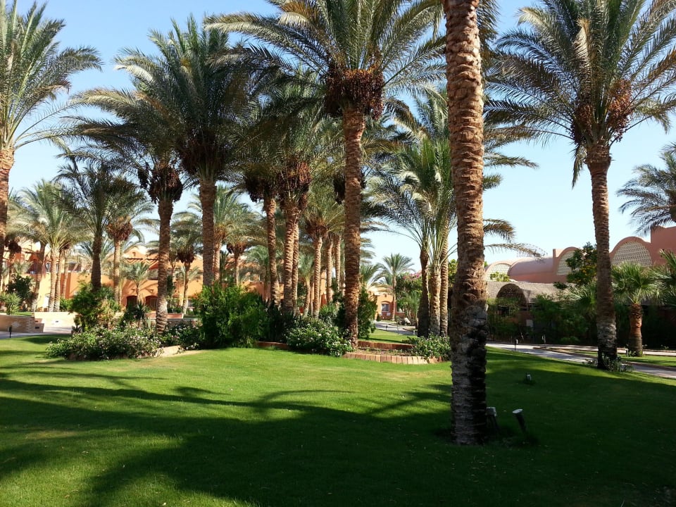 Wunderschön Jaz Makadi Oasis Resort