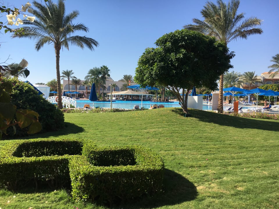 Gartenanlage Desert Rose