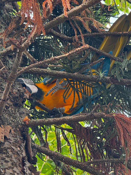 Gartenanlage Hotel Ferrugem Eco Village