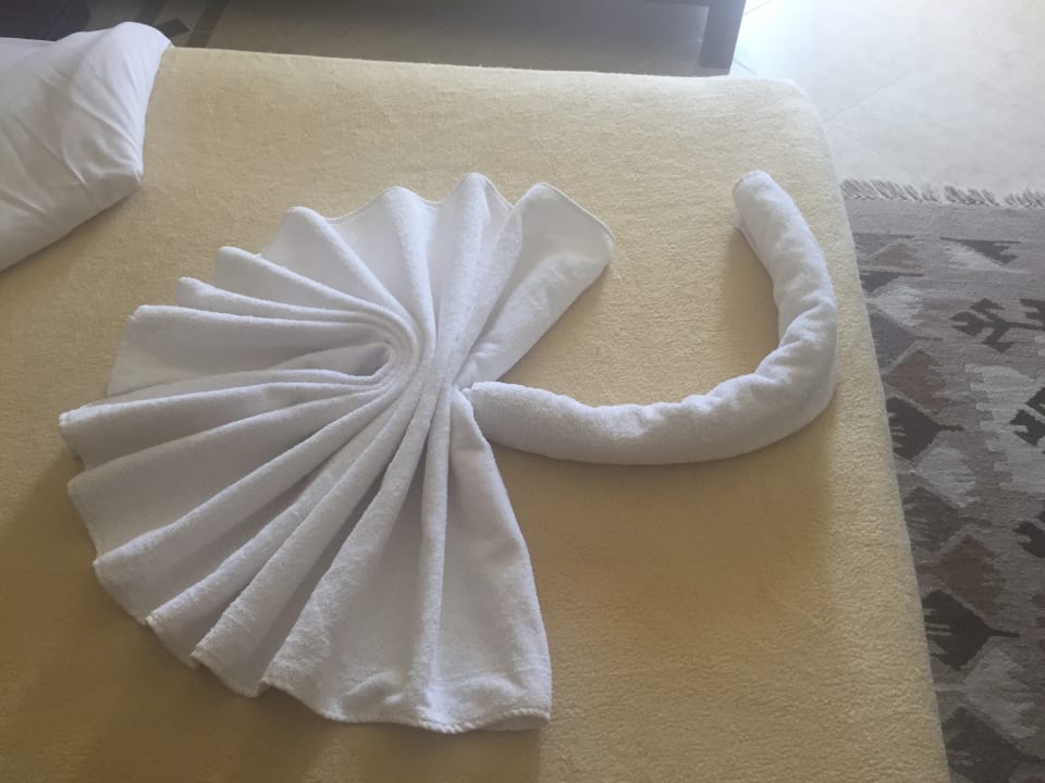 Zimmer Imperial Shams Abu Soma