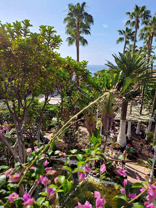 Gartenanlage Hotel Parque Tropical