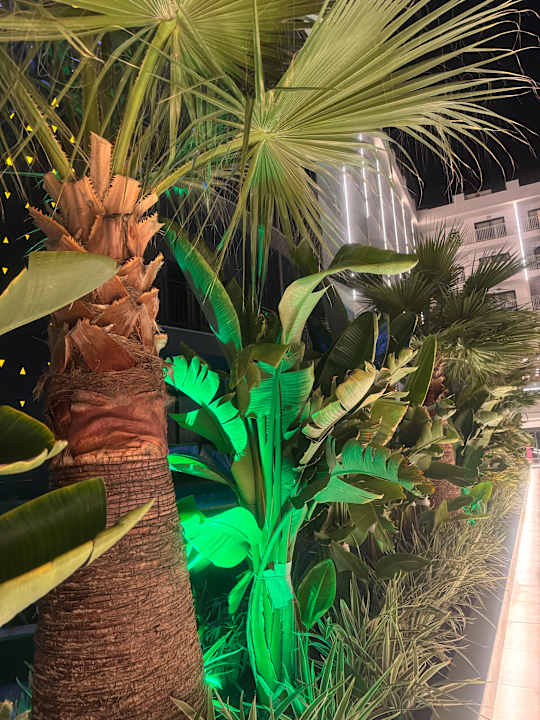 Gartenanlage VOX MARIS RESORT