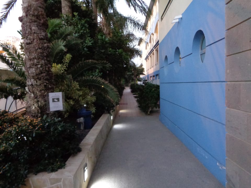 Außenansicht IFA Altamarena by Lopesan Hotels