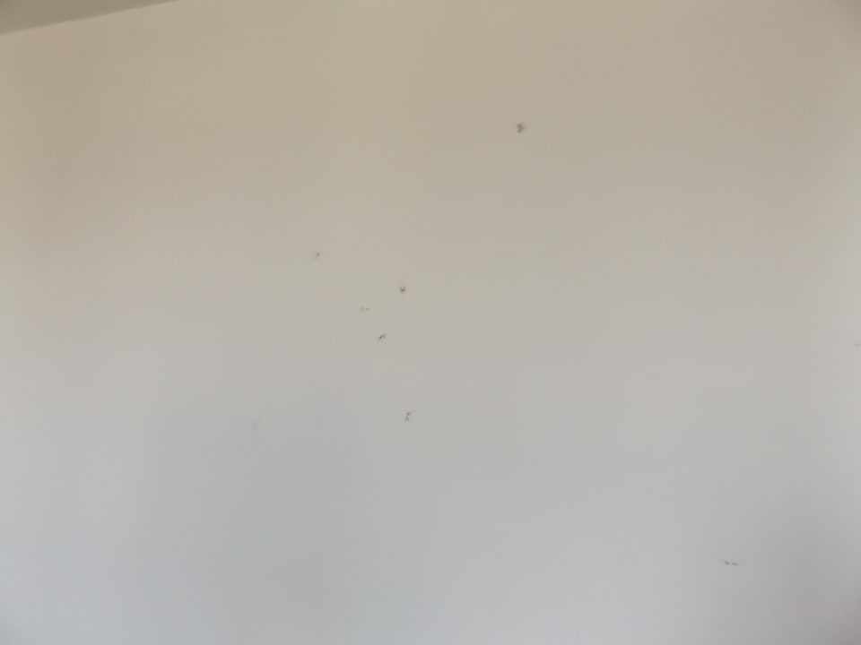 Zimmer Columbus Sea Hotel