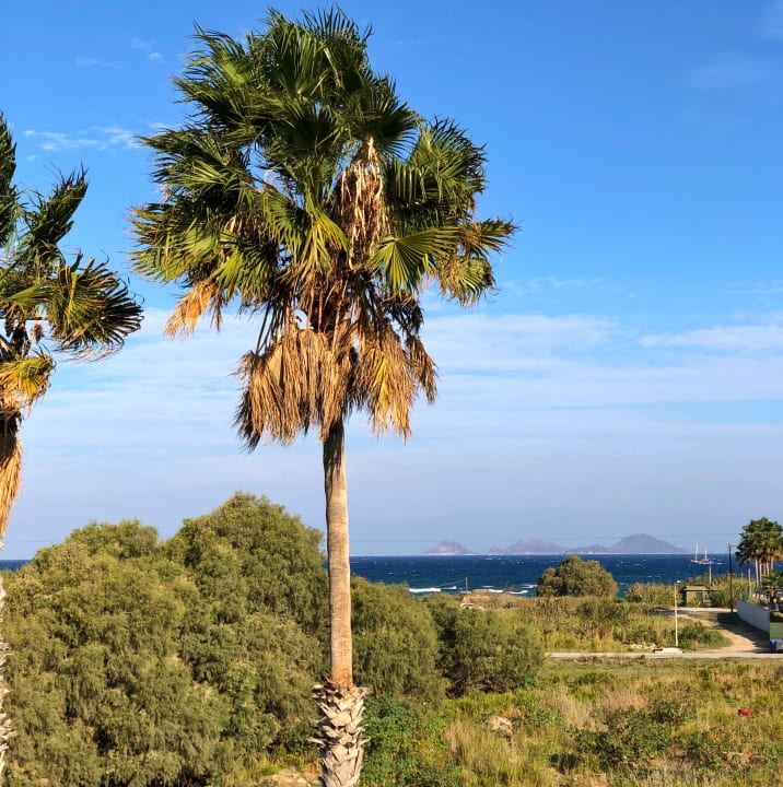 Ausblick Cosmopolitan Kos