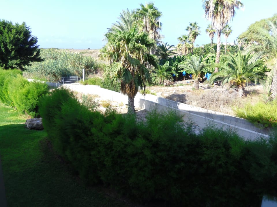 Seitlicher Meerblick laut Buchung und Hotelmanager  Hotel Corallia Beach