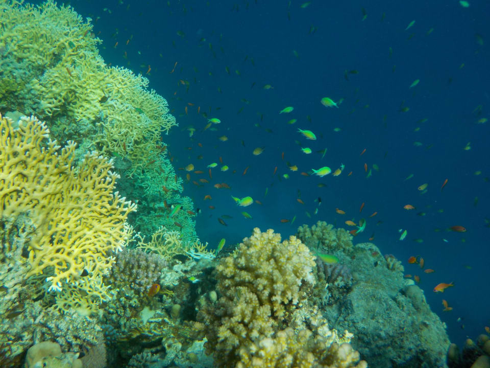 Strand SUNRISE Cardina Resort